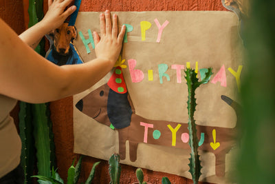 Farm Animal Birthday Party Supplies: Essential Items for a Fun Celebration