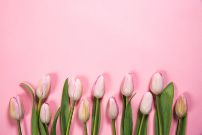 Timeless Wedding Shower Theme That Even Your Aunt Karen Will Love