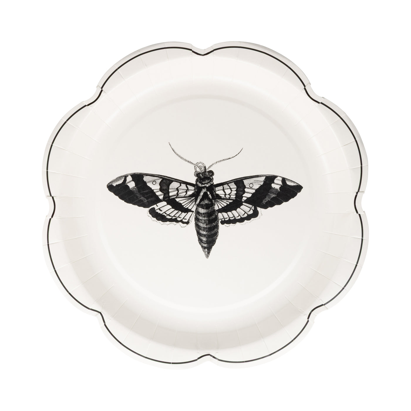 Apothecary Paper Plate Set