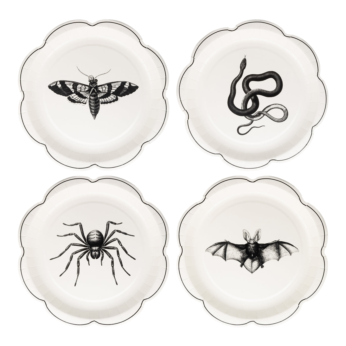 Apothecary Paper Plate Set