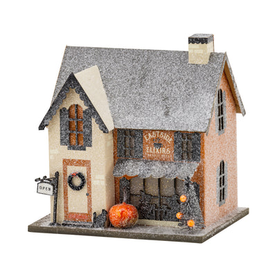 Eastside Elixirs Haunted Village Decor