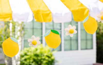 Felt Lemon Banner
