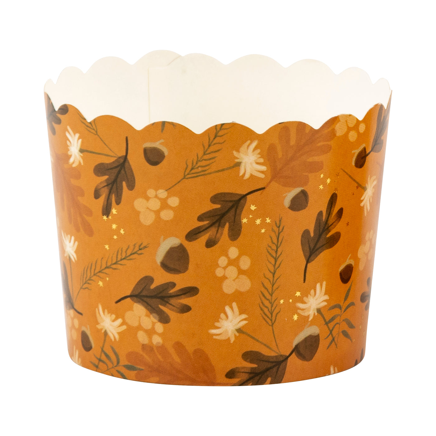 Gold Foil Acorn Burst 5 oz Baking Cups