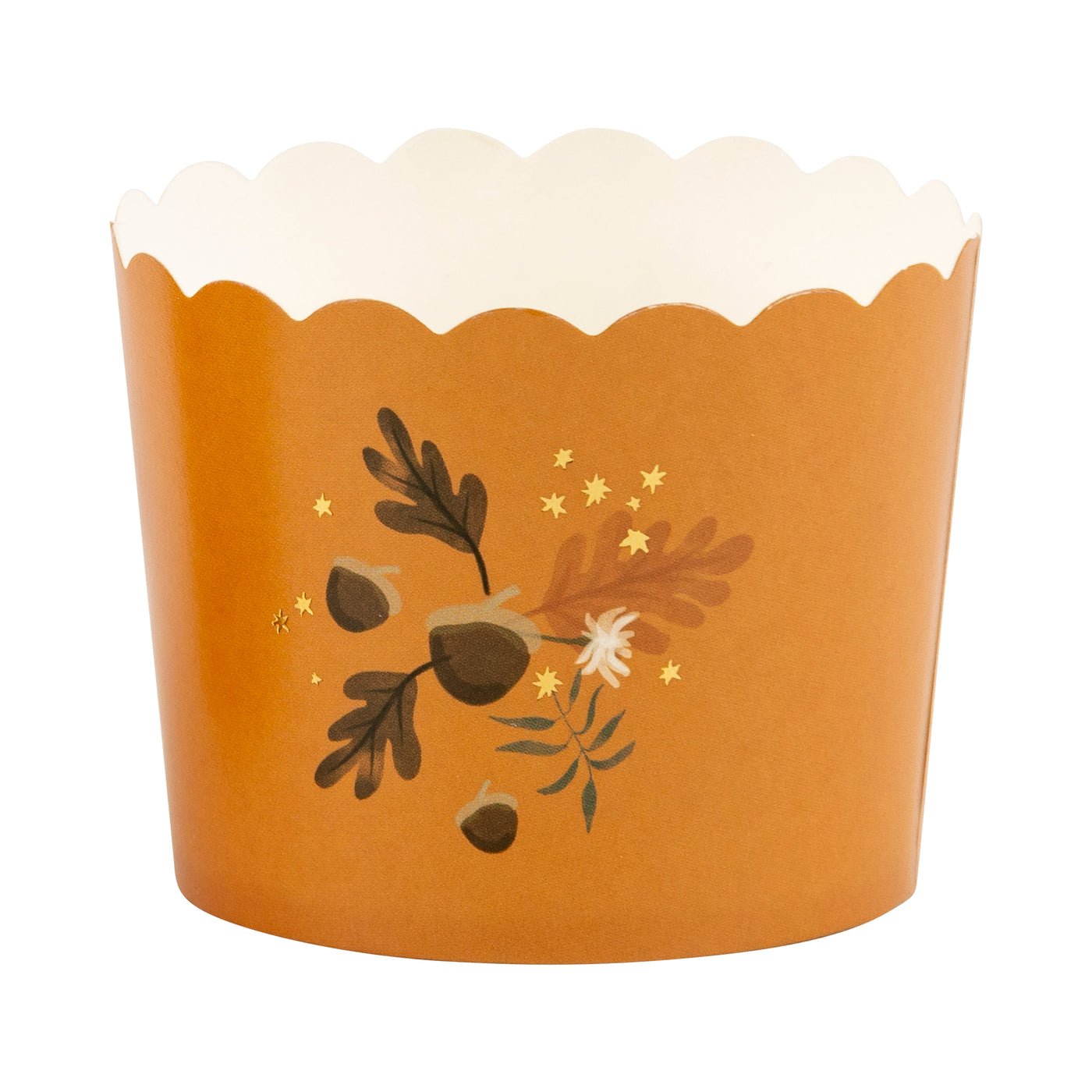 Gold Foil Acorn Burst 5 oz Baking Cups