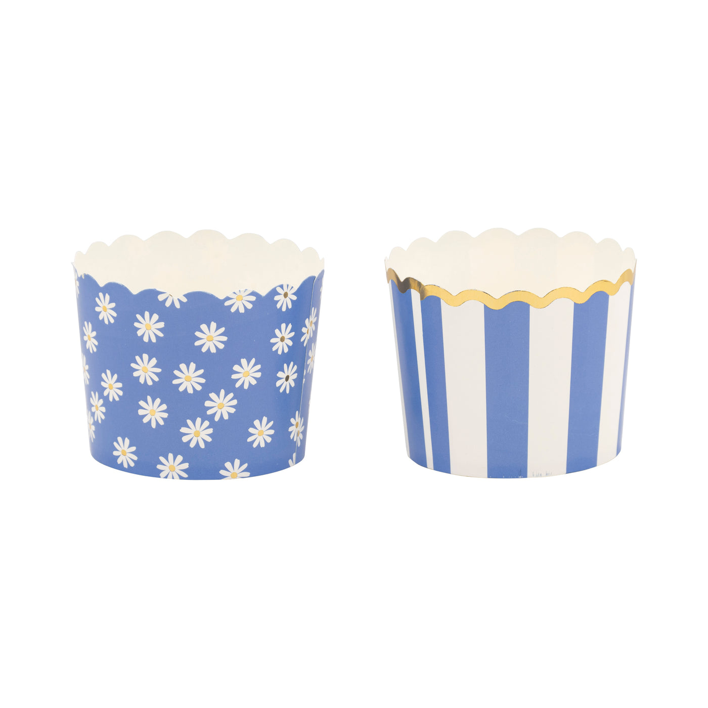 Blue Daisy Stripe Foiled Baking Cup