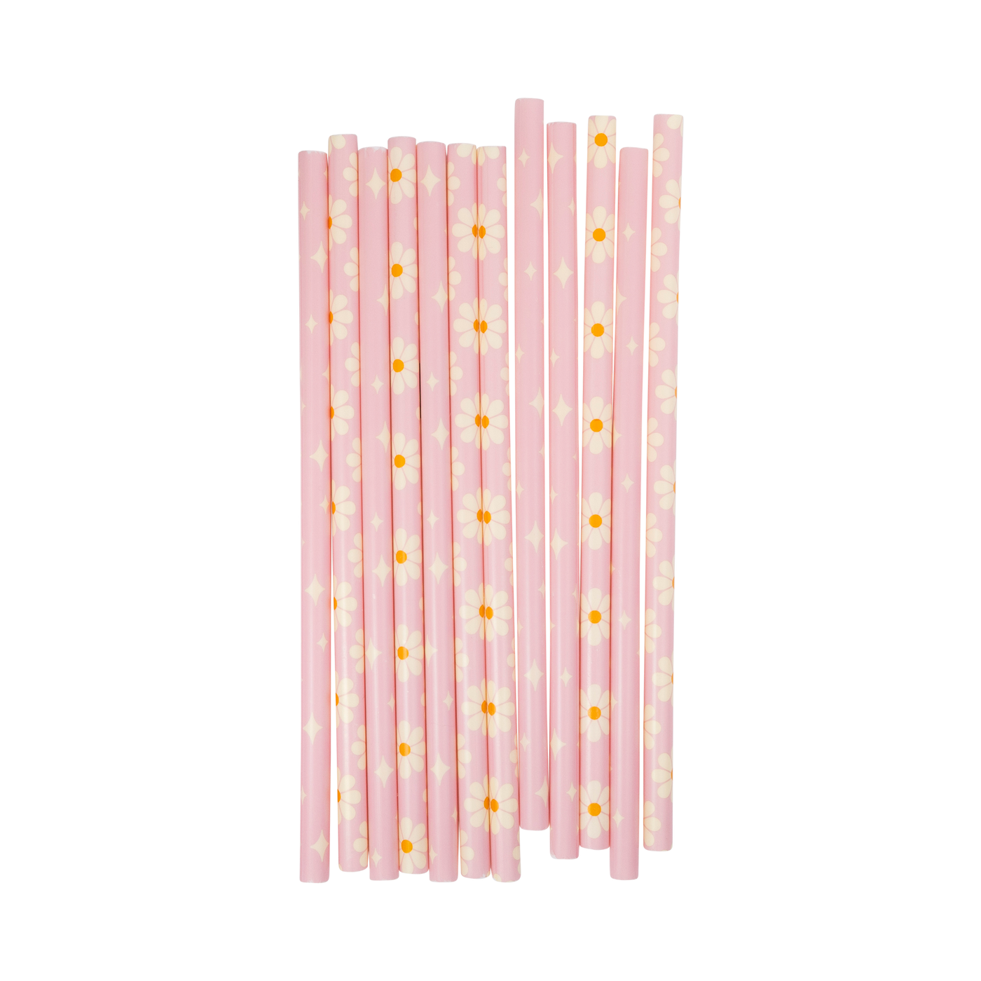 Disco Daisy Reusable Straws