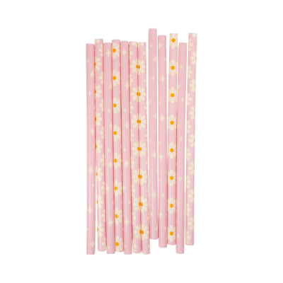 Disco Daisy Reusable Straws