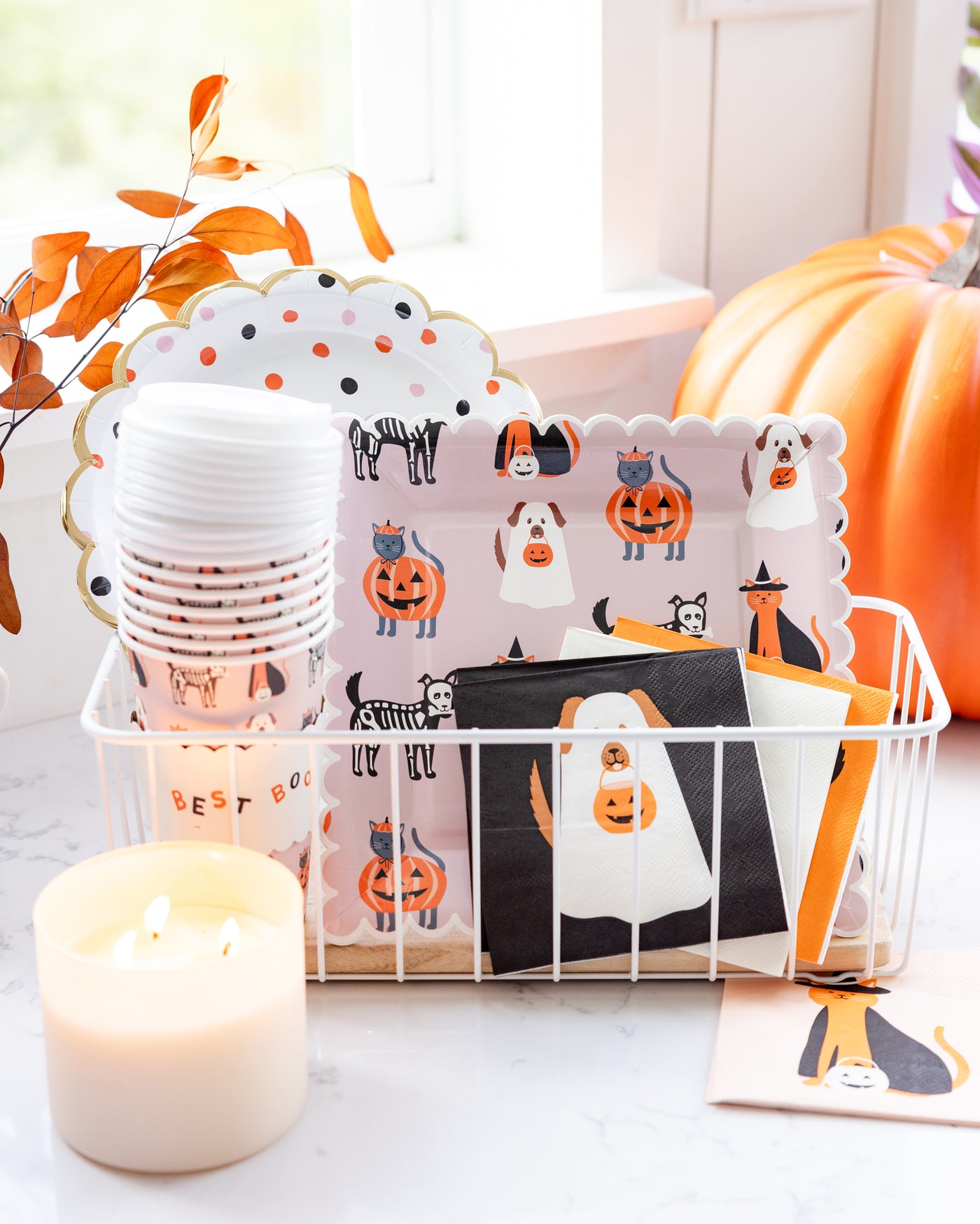 Costume Pets Paper Cocktail Napkin Set