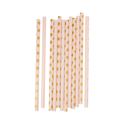 Princess Reusable Straws