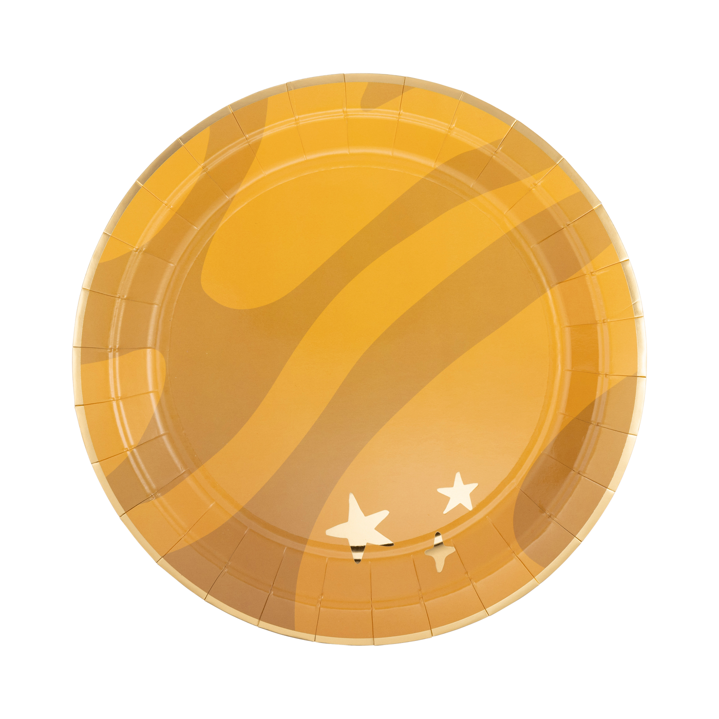 Planet Paper Plate