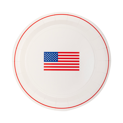 Round Flag Paper Plate