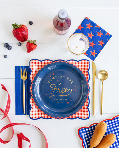 Red & Blue Gingham 9" Paper Plate Set