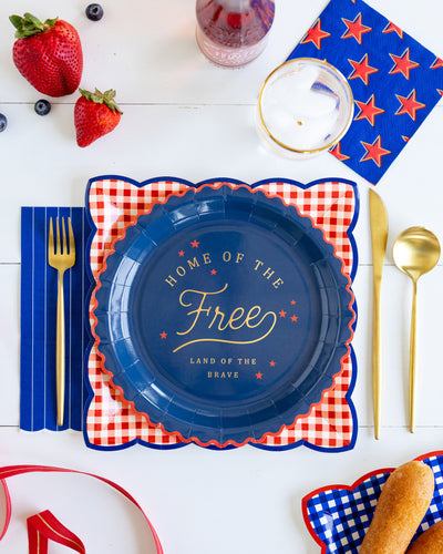 Red & Blue Gingham 9" Paper Plate Set