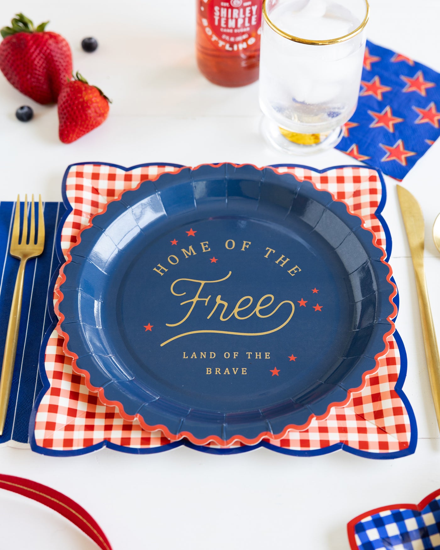 Red & Blue Gingham 9" Paper Plate Set