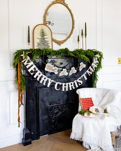 Santa Scalloped Plate Set