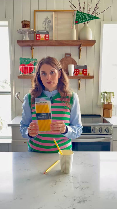 Pencil Reusable Straws - 12 count