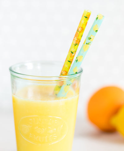 Summer Citrus Reusable Straws